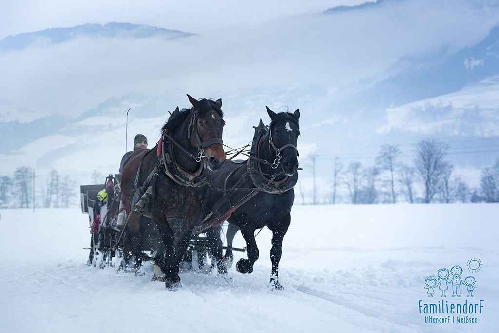 Familiendorf Winter 02 2018 David Innerhofer 185