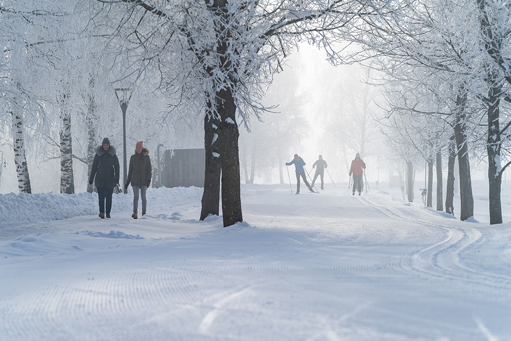 Winterwandern Langlaufen